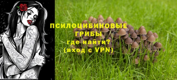 ALPHA PVP Армянск