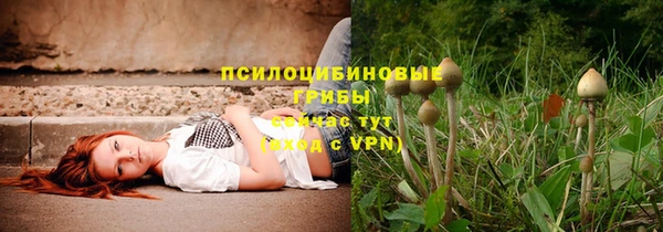mdma Няндома